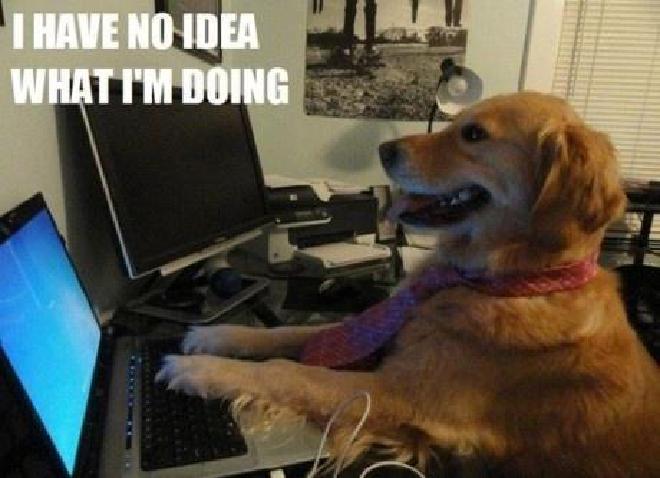 dog on a computer captioned I have no idea what I’m doing